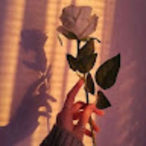 Meet your Posher, Jayden